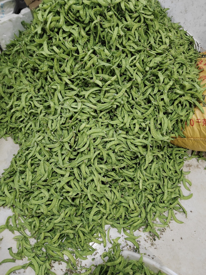 荷兰豆大量上市