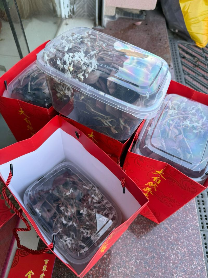 种植开花红霞金线莲，当天采摘当天发货。