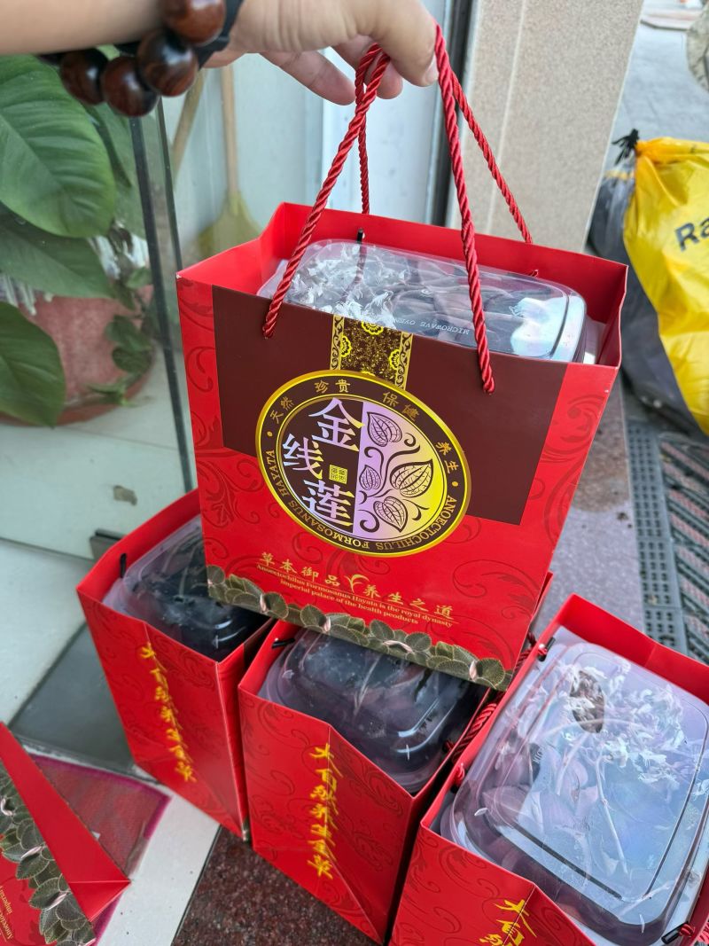 种植开花红霞金线莲，当天采摘当天发货。