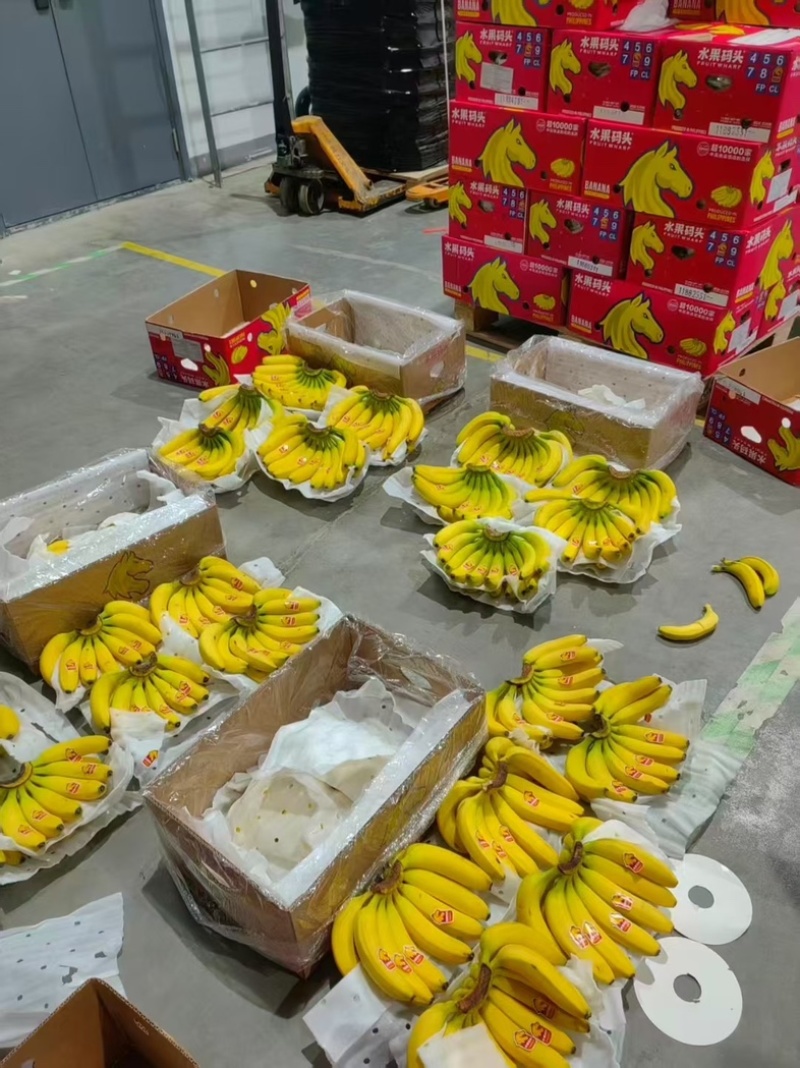 精品二级通通有货