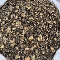 白头翁白花白头翁野丈人胡王使者纯根奈何草