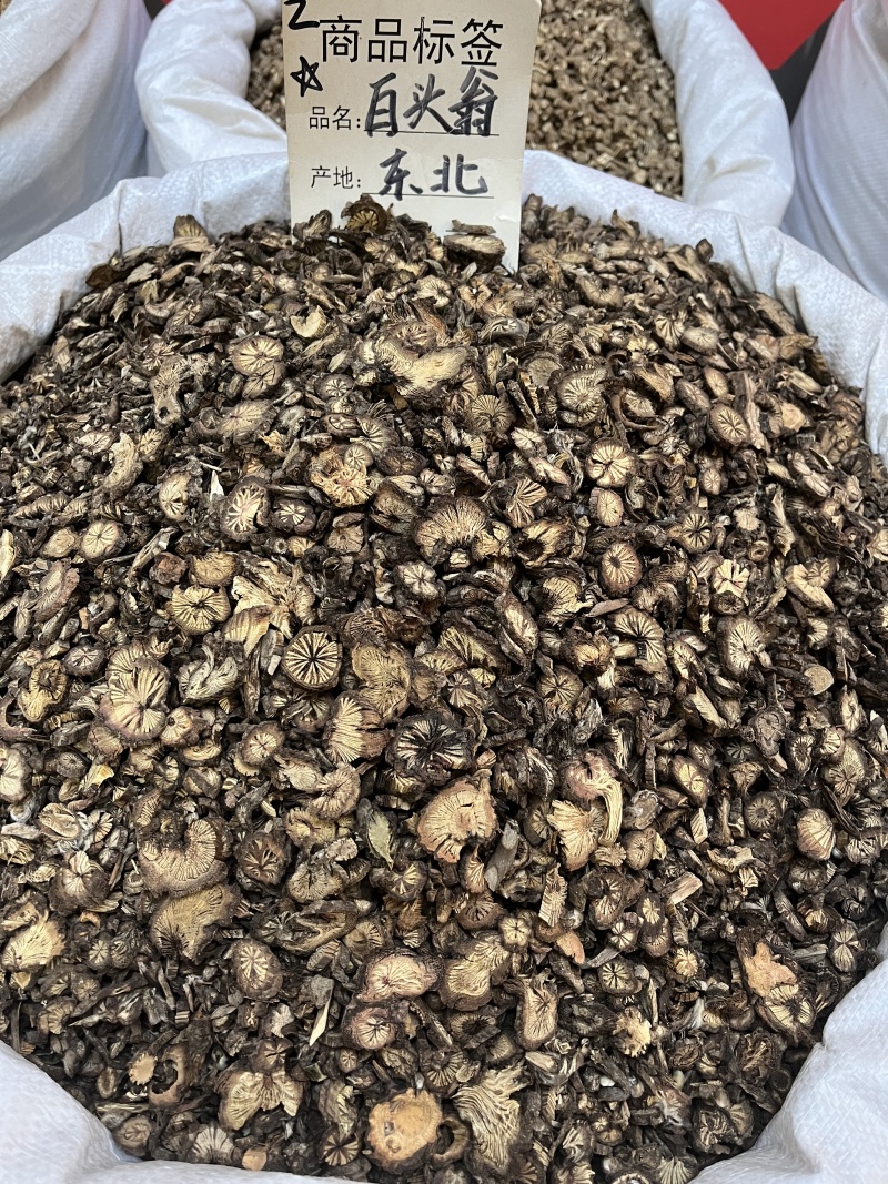 白头翁白花白头翁野丈人胡王使者纯根奈何草