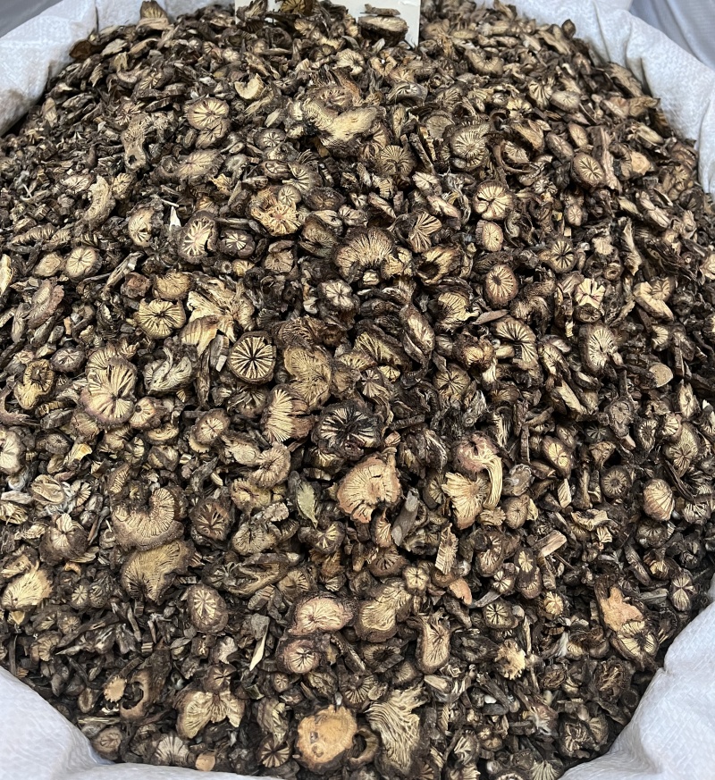 白头翁白花白头翁野丈人胡王使者纯根奈何草