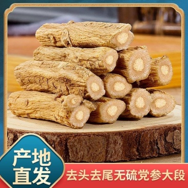 党参段