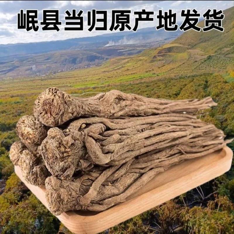 岷县当归条整根当归