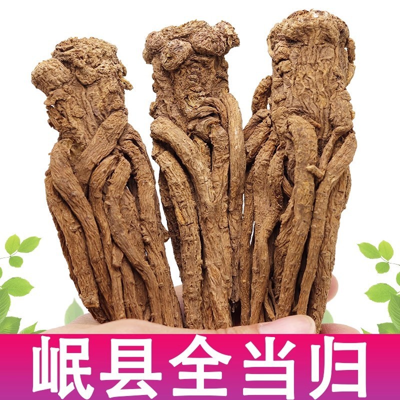 岷县当归条整根当归
