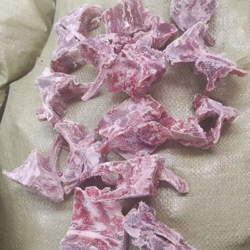 多肉羊蝎子，量大优惠