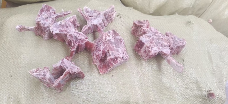 多肉羊蝎子，量大优惠