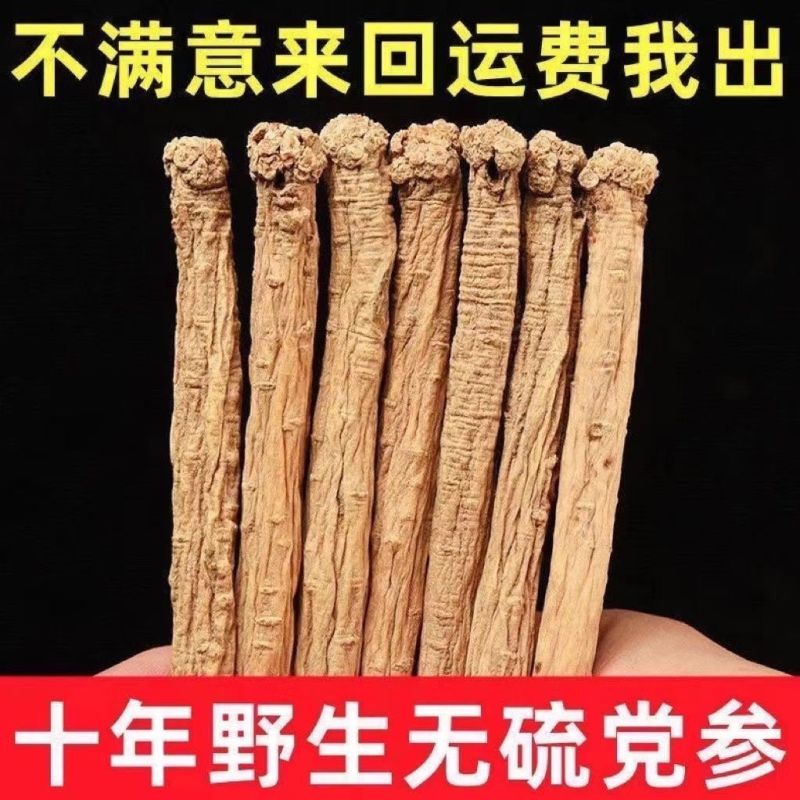 甘肃岷县新鲜无硫白条党参