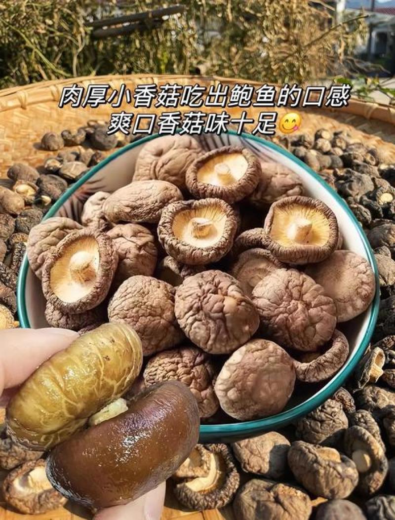 悠鲜说（农产品香菇）随州香菇之乡优质精选干货品质干香圆润