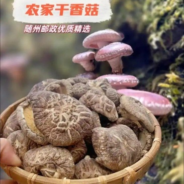 悠鲜说（农产品香菇）随州香菇之乡优质精选干货品质干香圆润
