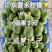 广东香水柠檬，产值直供，长期供应全国各地，🉑走车，欢迎