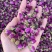 玫瑰花茶