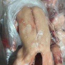 两光鹅