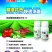 烈魔组合，辣椒、番茄、各类瓜类病毒，黄叶，小叶！