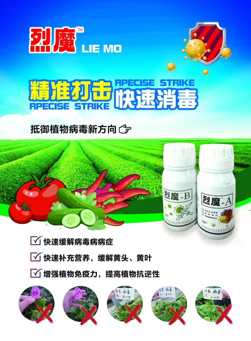 烈魔组合，辣椒、番茄、各类瓜类病毒，黄叶，小叶！