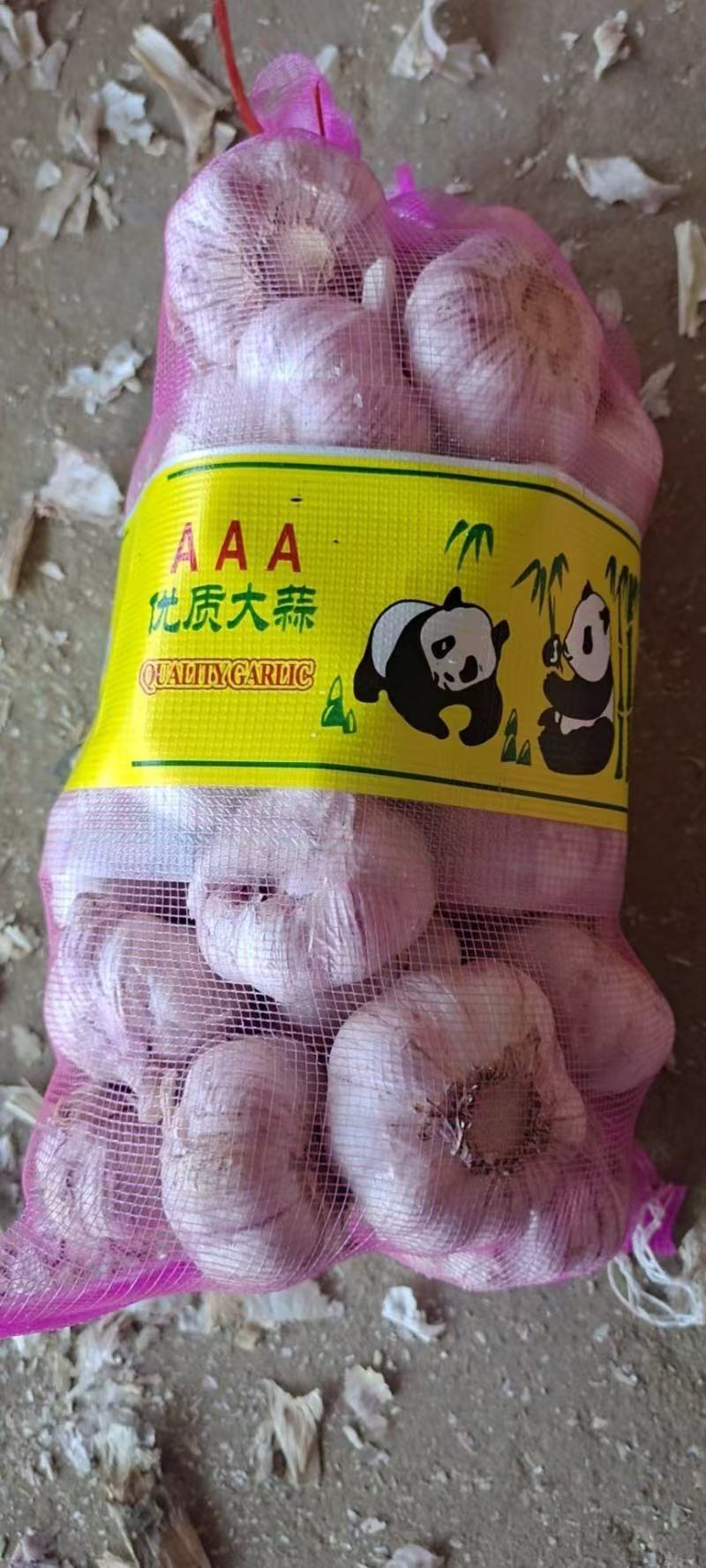 蒜通天下大量出售优质金乡本地大蒜头规格齐全包装定制现货