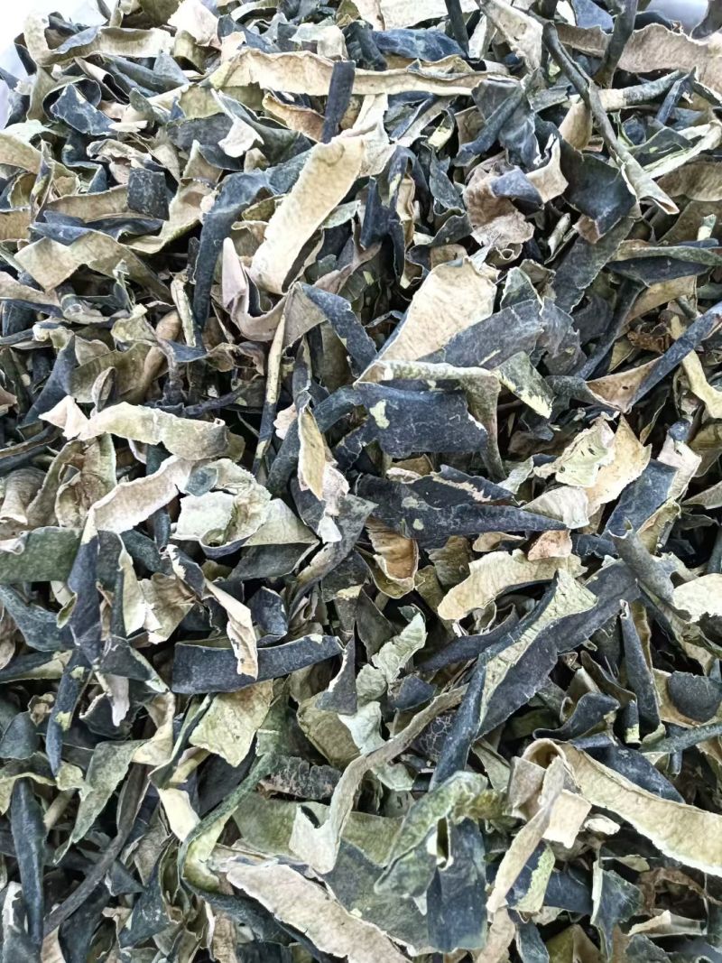 冬瓜皮中药材冷背正品中药材冬瓜皮品质保证