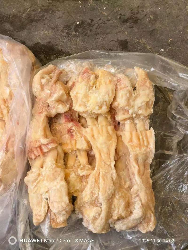 去骨牛蹄筋