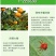 30%乙螨唑悬浮剂红蜘蛛