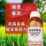 氨基寡糖素植物诱抗剂病毒病预防治疗提高1000克病毒病