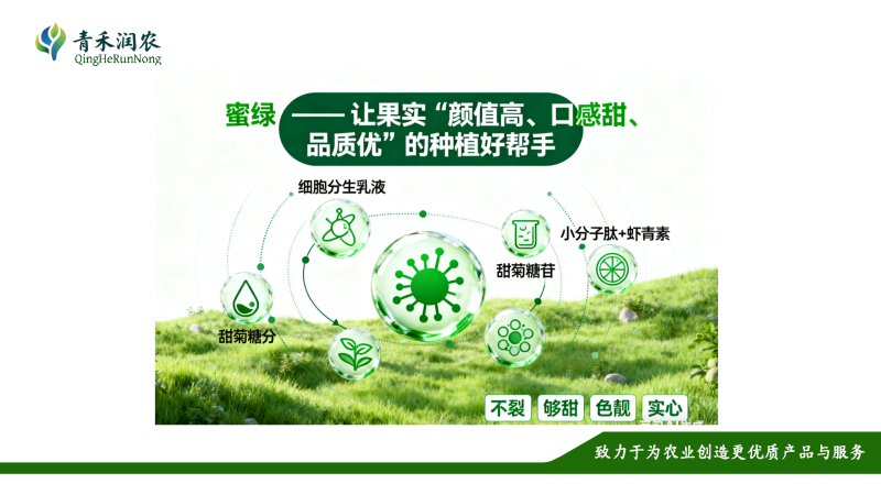 增甜防裂上色，每瓶50毫升，一瓶1桶水，间隔10天喷一次