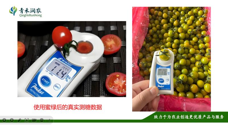 增甜防裂上色，每瓶50毫升，一瓶1桶水，间隔10天喷一次