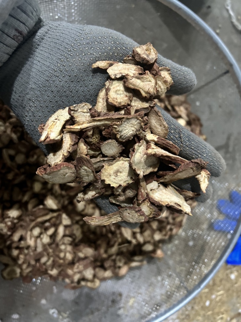 丹参丹参大片室内拍摄颜色拍的有暗现实中颜色红