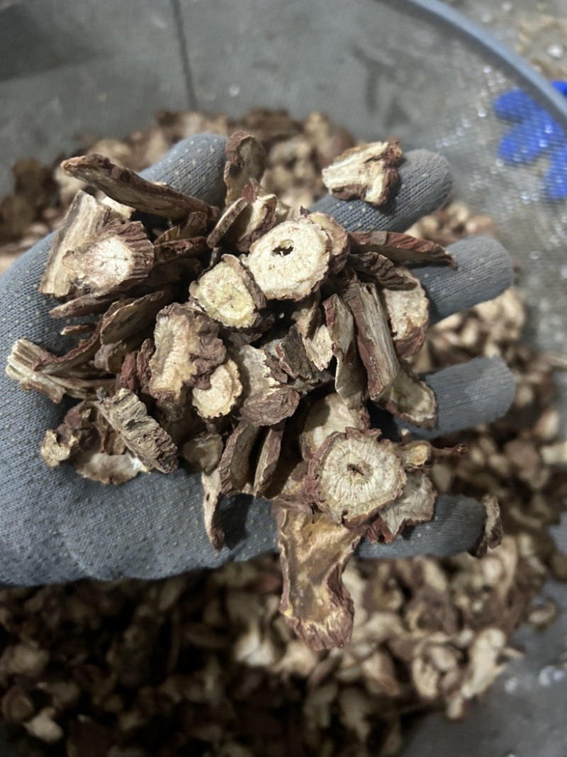 丹参丹参大片室内拍摄颜色拍的有暗现实中颜色红