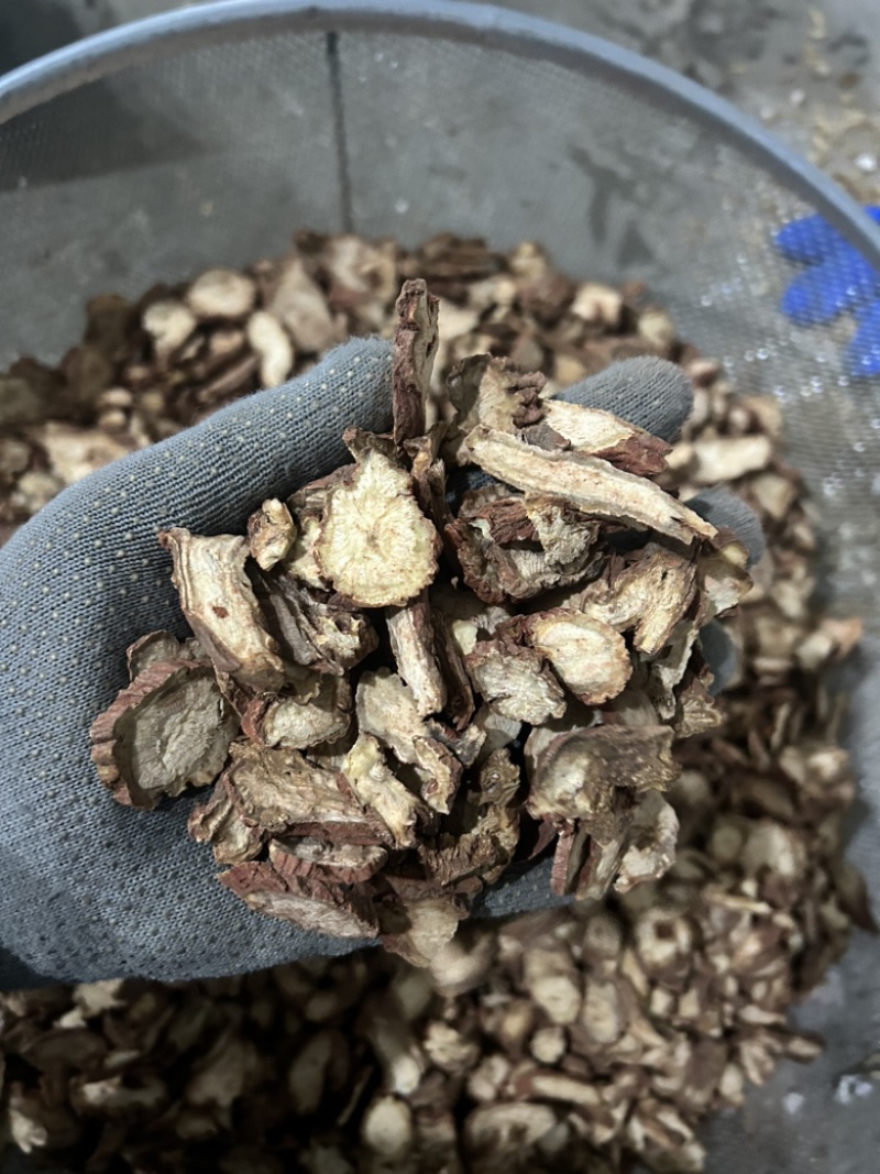丹参丹参大片室内拍摄颜色拍的有暗现实中颜色红