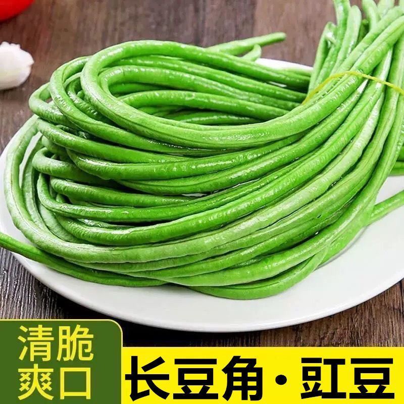 赣科糯糯甜长豆角种子鲜嫩味甜耐老化高产农家菜园大田种植