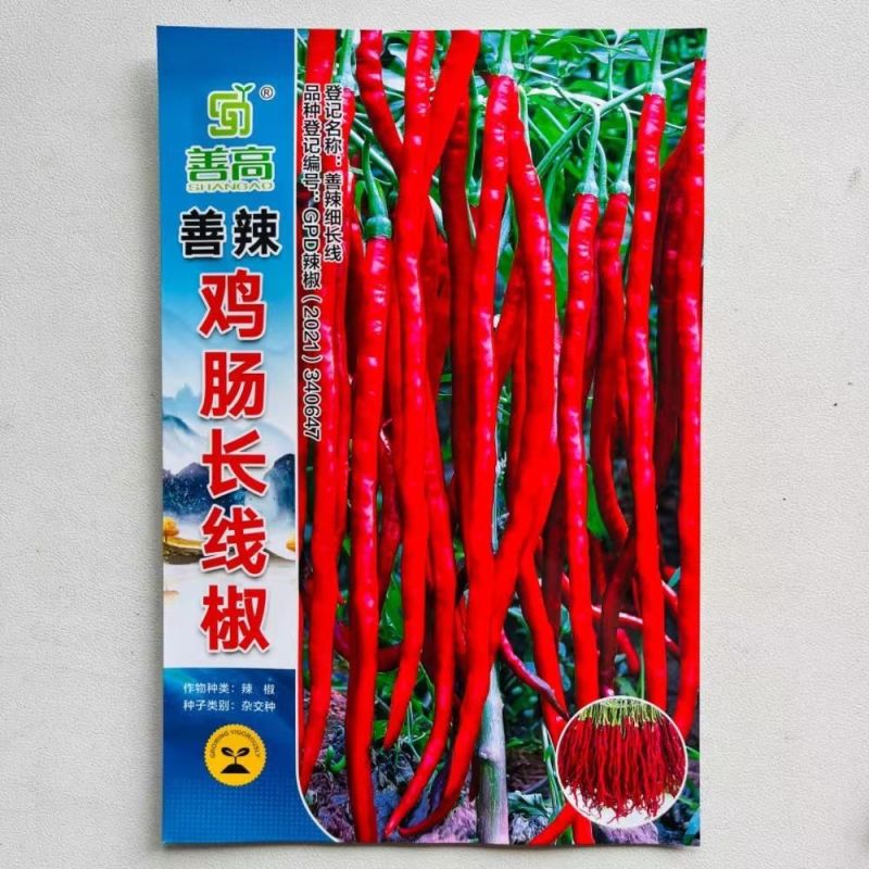 赣科糯糯甜长豆角种子鲜嫩味甜耐老化高产农家菜园大田种植