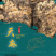 昭通小草坝正宗仿野生天麻