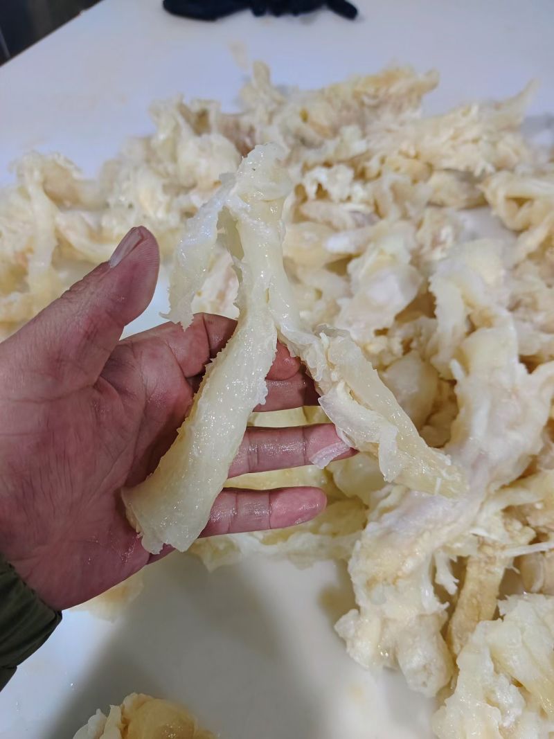 水发牛蹄筋