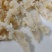 水发牛蹄筋