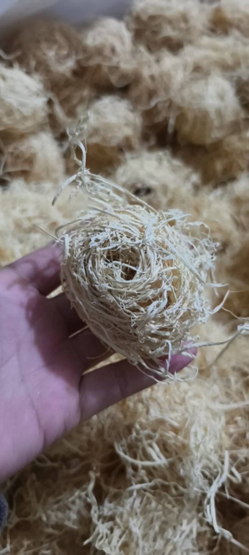 淡竹茹团球状竹茹球黄白色统货今年新货颜色好