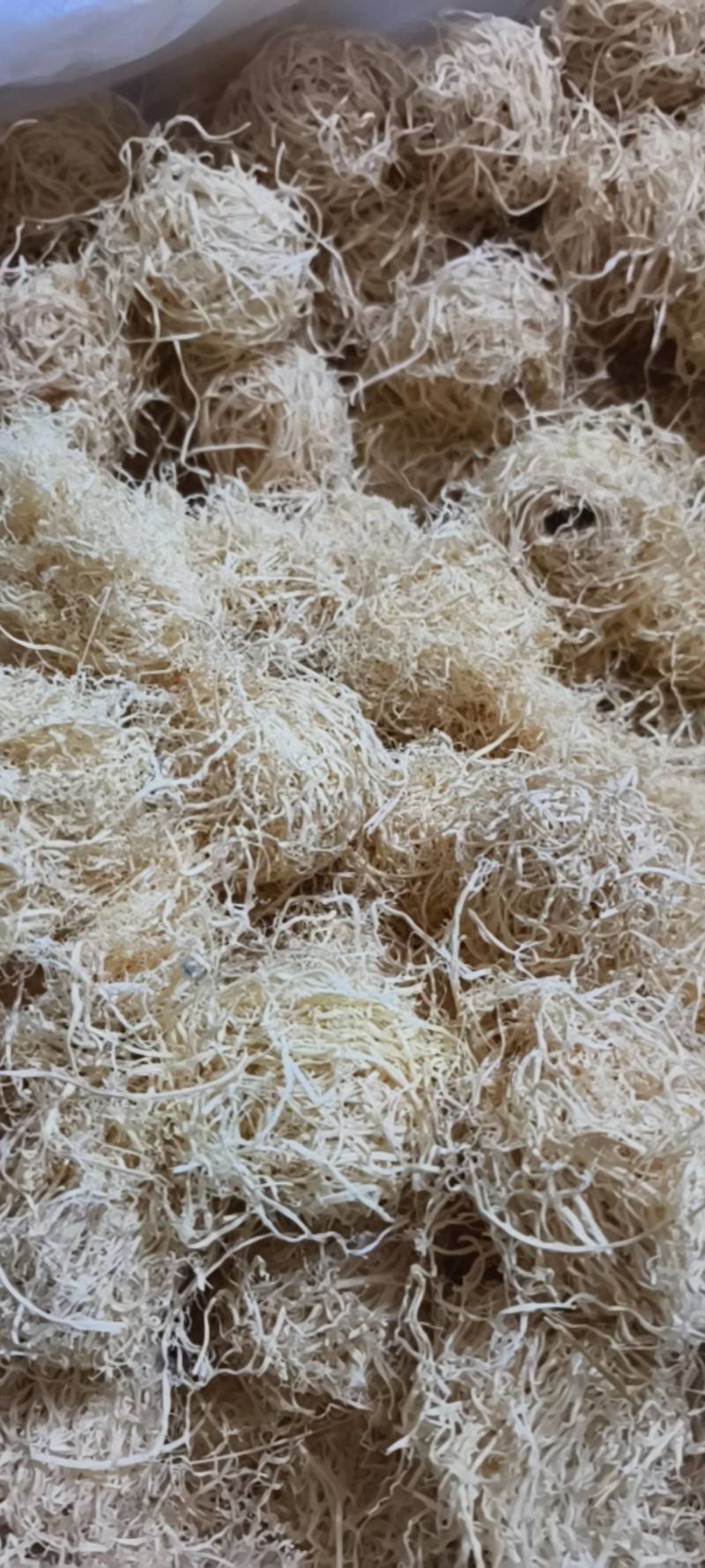 淡竹茹团球状竹茹球黄白色统货今年新货颜色好