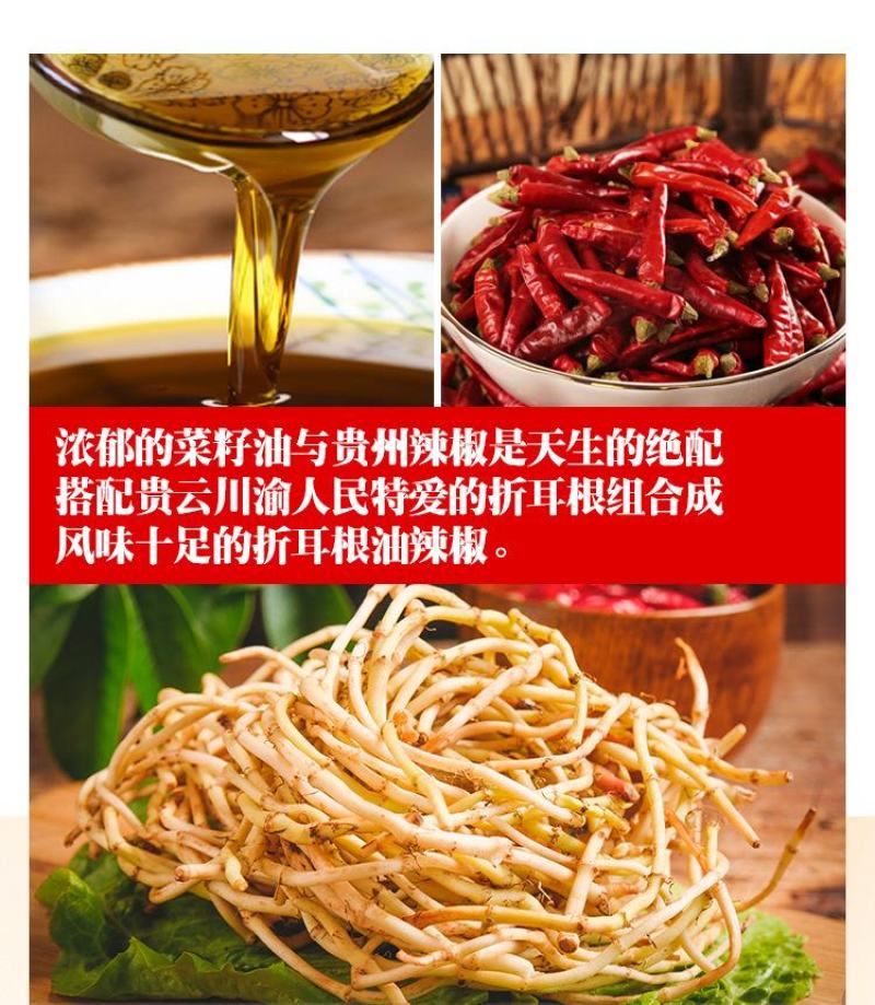 贵州遵义特产香脆折耳根油辣椒餐饮商用调味酱【遵义直供】
