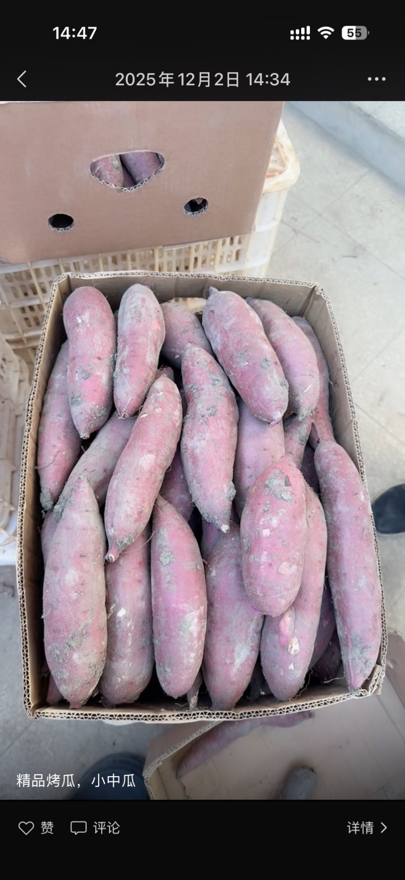 榴莲蜜薯大量出货社区团购一件代发一手货源可视频