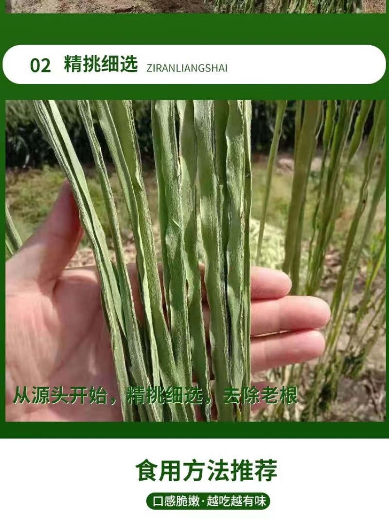 商用贡菜凉拌苔干响菜贡菜干火锅食材产地直销