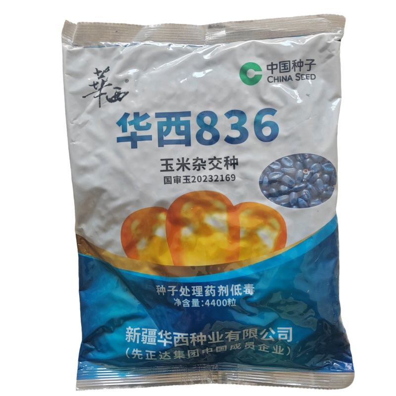 华西836玉米种子国审红轴大棒子中国种子集团新疆华西种业