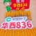 华西836玉米种子国审红轴大棒子产量高