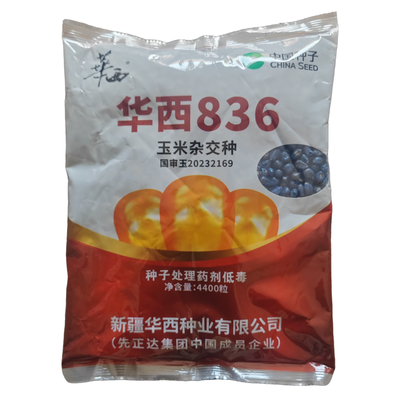 华西836玉米种子国审红轴大棒子产量高