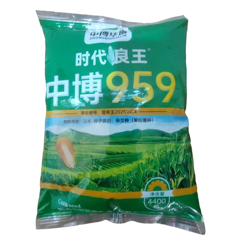 中博959玉米种子国审红轴大棒子4400粒/袋可春播夏播