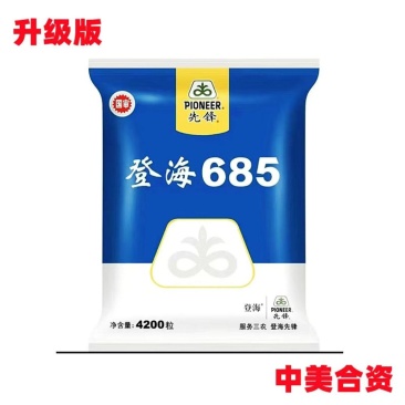 登海685玉米种子国审红轴大棒子4200粒/袋抗病抗倒产
