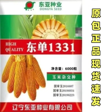 东单1331玉米种子国审6000粒大袋装红轴耐密植轴细粒