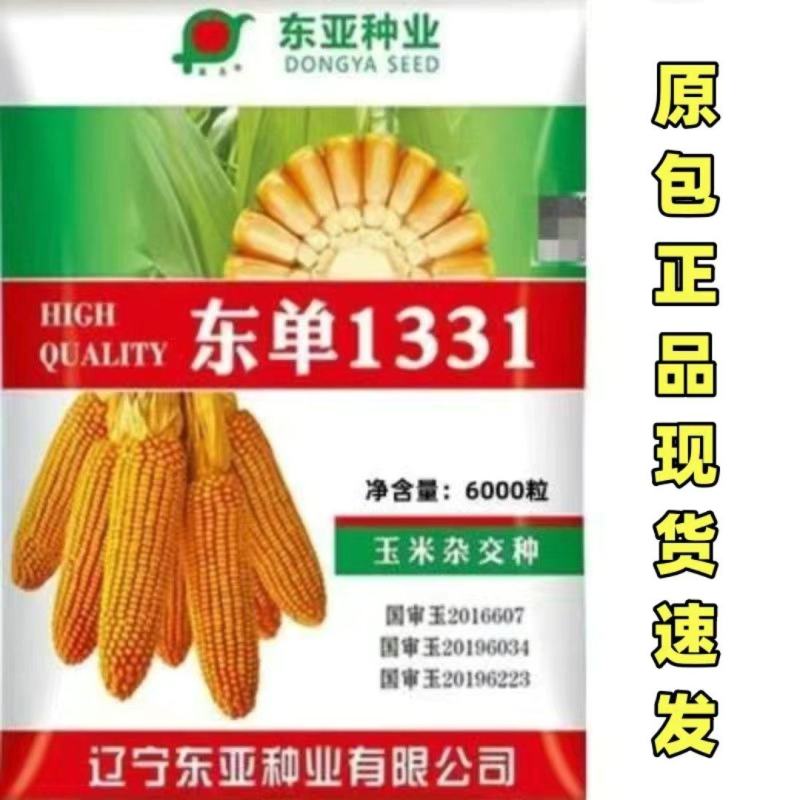东单1331玉米种子国审6000粒大袋装红轴耐密植轴细粒