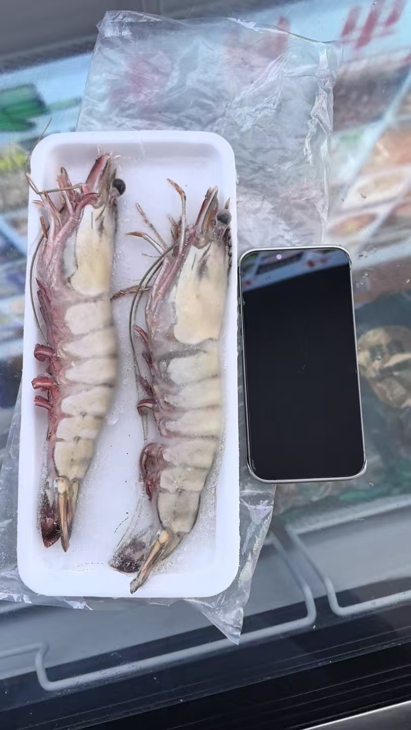 大对虾大虾