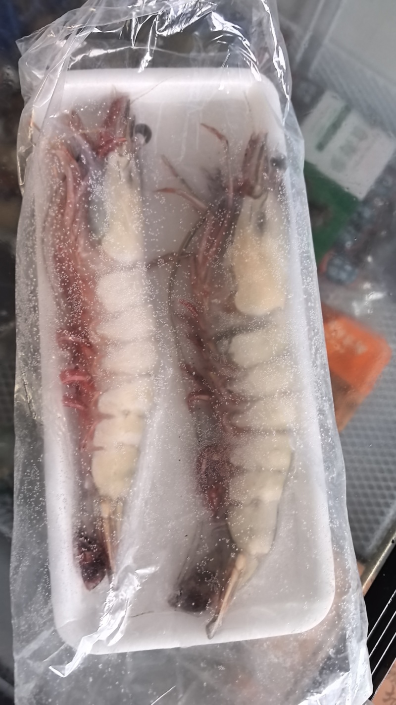 大对虾大虾