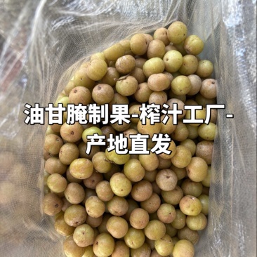 福建漳州油甘产地直发榨汁腌制
